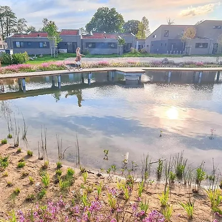 In Lembruch-duemmer With Sauna 度假居